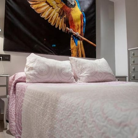 Apartamento Ventanal Ateca エクステリア 写真